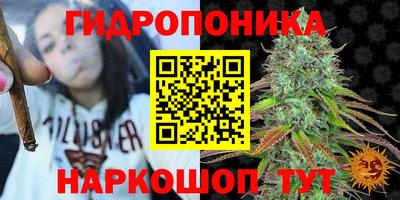 прущие крисы Заводоуковск