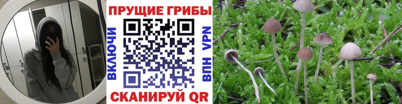 цены наркотик  Мценск  Псилоцибиновые грибы мухоморы 