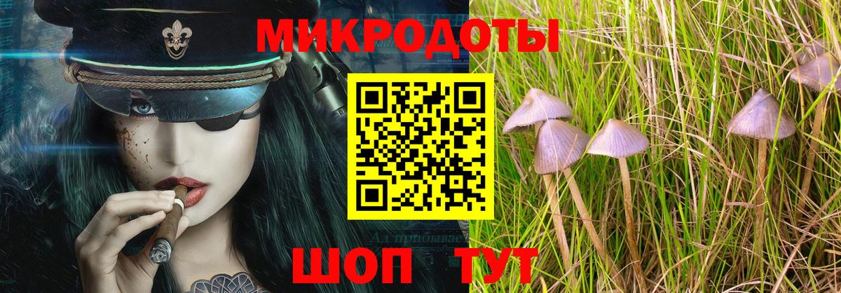 Псилоцибиновые грибы прущие грибы  Вход с VPN  Мценск 