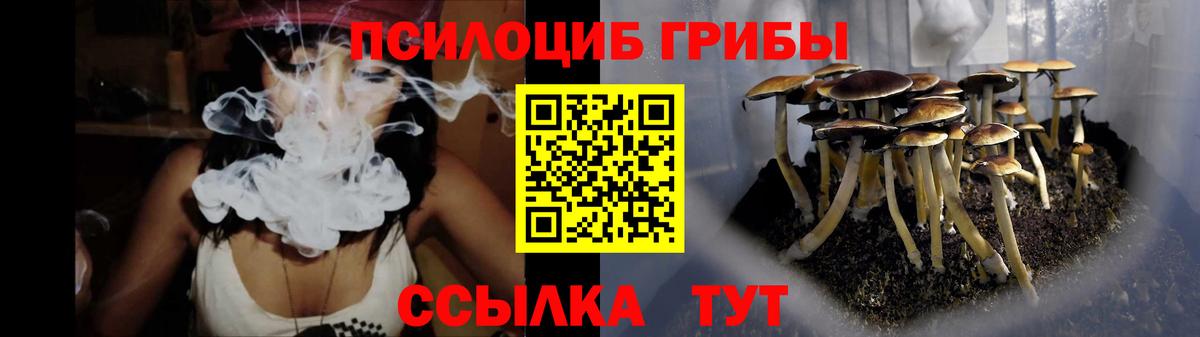Галлюциногенные грибы GOLDEN TEACHER Мценск